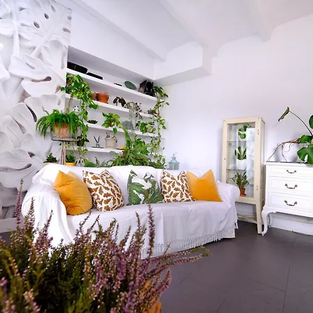 Casa Guest House, For Mountain Lovers! * كايماري